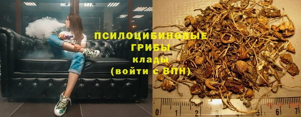 первитин Ладушкин