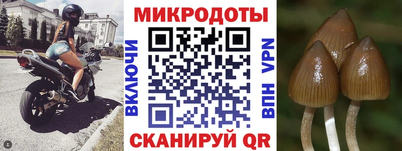 Галлюциногенные грибы Magic Shrooms Медногорск
